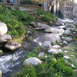 Meet your Posher, Pearl